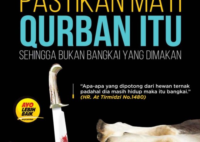 Bolehkah Qurban dengan Hewan yang Sedang Hamil?