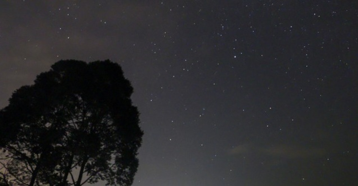 Kemuncak Fenomena Hujan Meteor Perseids Bermula Lewat Malam Ini – MYSA
