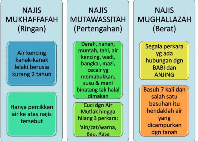 Hukum Bulu Bangkai – Syariah Online DepokSyariah Online Depok
