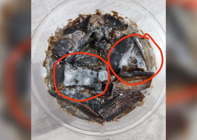 Banyak Khasiat, Ini Cara Buat Kompos Tanaman Guna Kulit Pisang