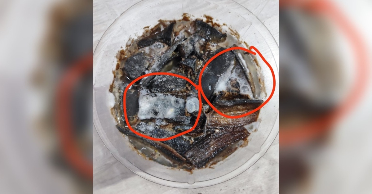 Banyak Khasiat, Ini Cara Buat Kompos Tanaman Guna Kulit Pisang