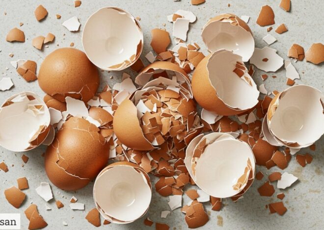Kulit Telur Baik Untuk Tanaman, Berkesan Atau Tidak
