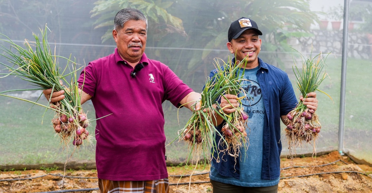 Tanam Tepi Rumah, Mat Sabu Tunjuk Hasil Tuaian Pertama Bawang Merah 
