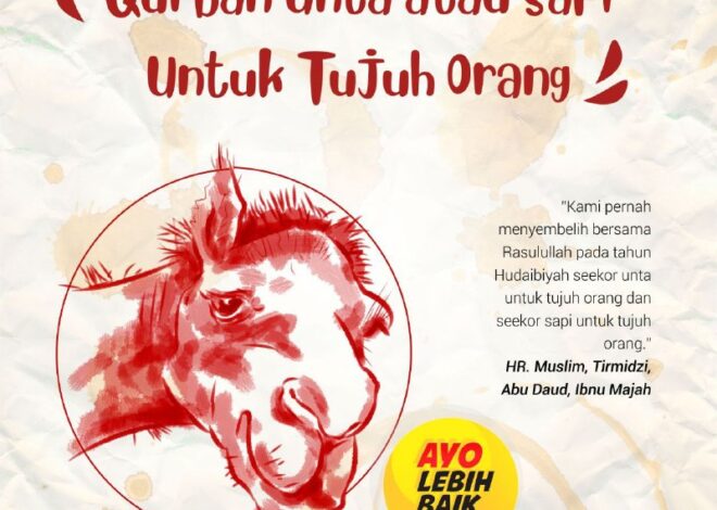 Patungan Kurban Sapi Diniatkan Untuk Keluarga