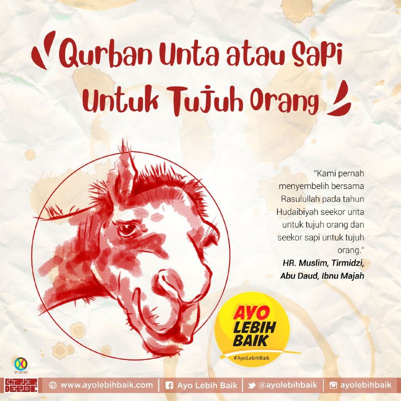 Patungan Kurban Sapi Diniatkan Untuk Keluarga