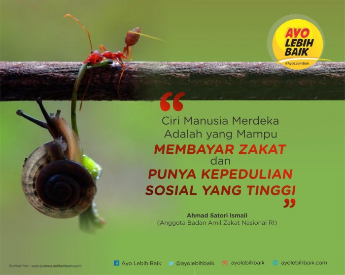 Zakat Maal Untuk Wakaf – Syariah Online DepokSyariah Online Depok