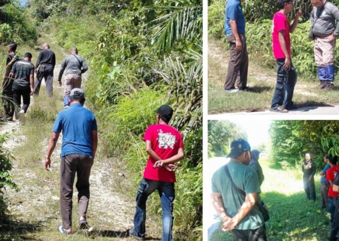 Perhilitan Kedah Siasat Dakwaan Penduduk Lihat Kelibat Harimau Di Kulim