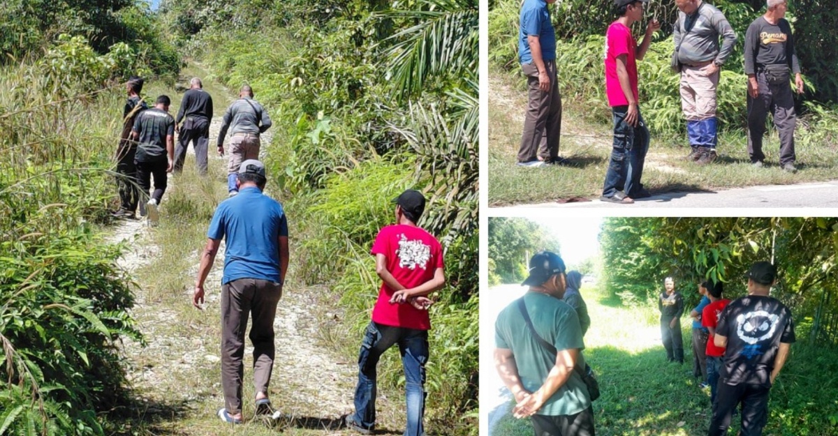 Perhilitan Kedah Siasat Dakwaan Penduduk Lihat Kelibat Harimau Di Kulim