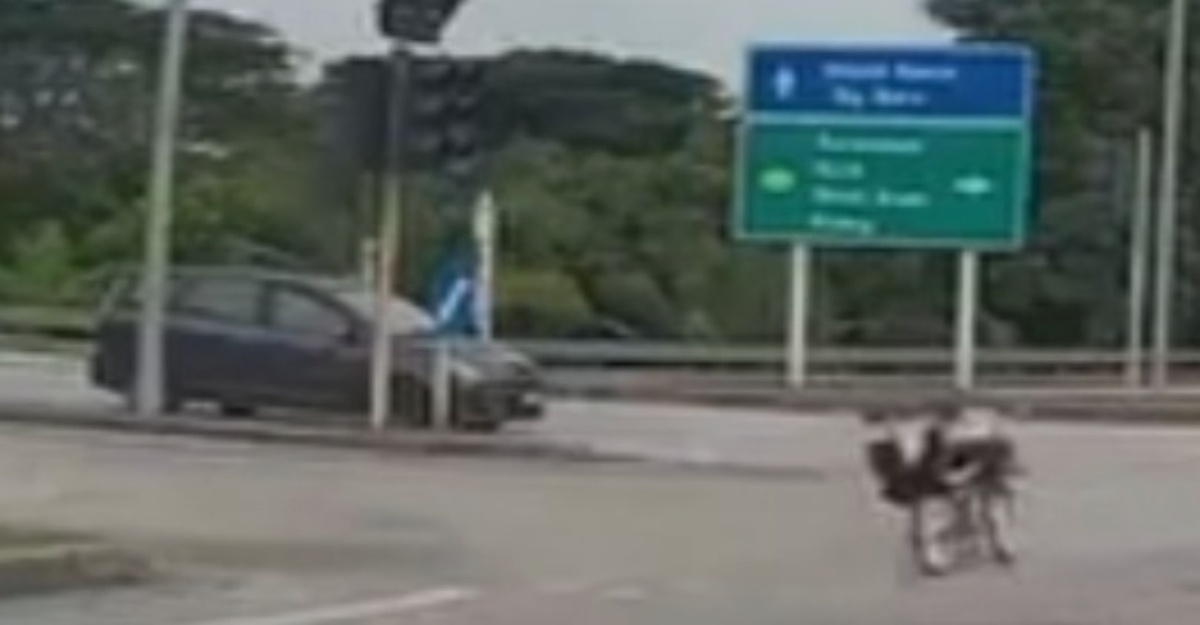 Dua Remaja Ditahan Selepas Aksi Basikal Lajak Tular Di Media Sosial